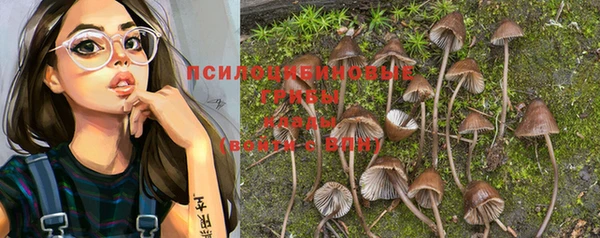 круглые Заводоуковск