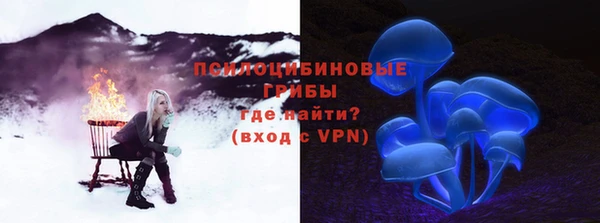 круглые Заводоуковск