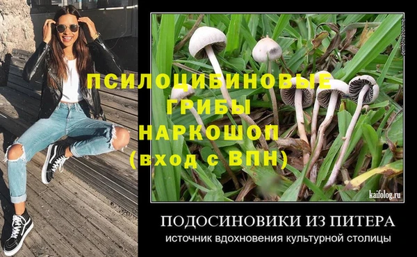 дурь Заволжск