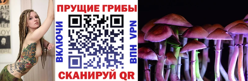 Галлюциногенные грибы Psilocybe Ивантеевка