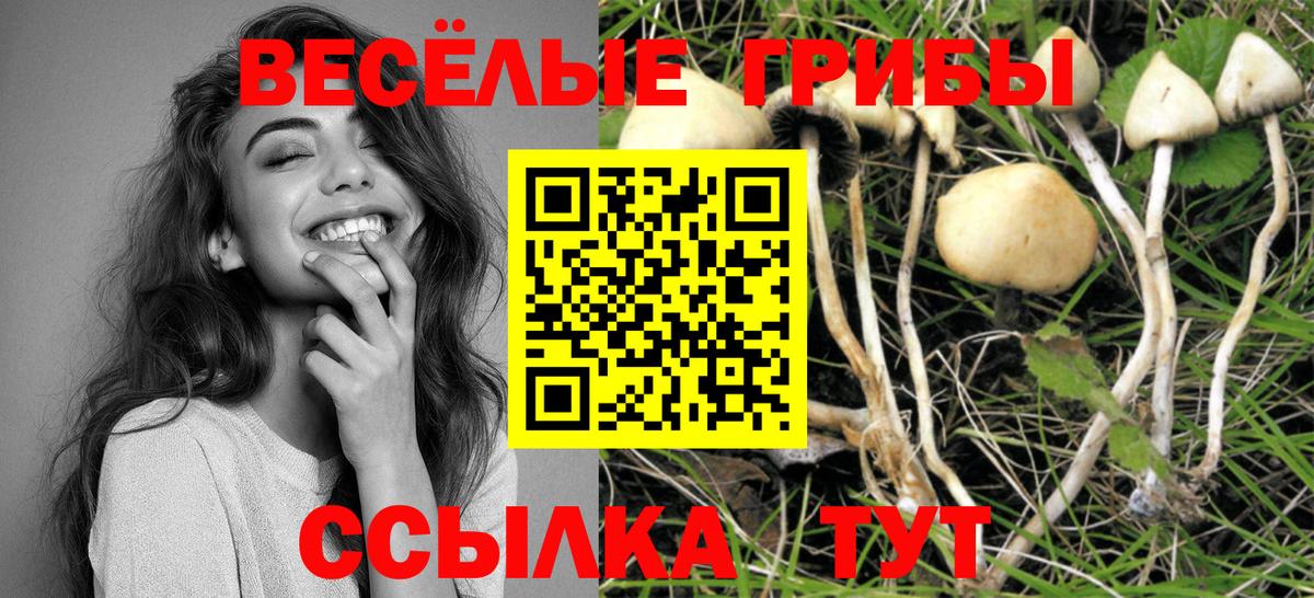 Ивантеевка  Галлюциногенные грибы ЛСД  Галлюциногенные грибы Cubensis  Вход с VPN 